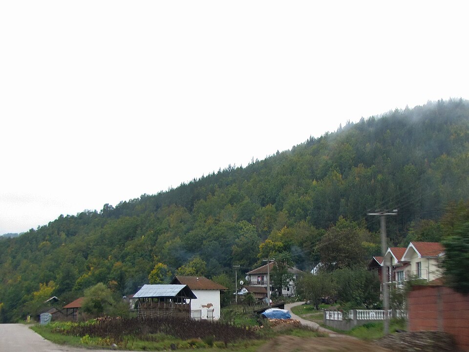 File:Mlekominci1.JPG