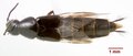 Thumbnail for version as of 03:36, 25 May 2013