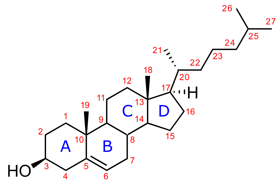 File:Cholesterol lettering numbering.svg