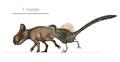 Thumbnail for version as of 06:51, 10 August 2022