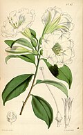 Thumbnail for version as of 16:52, 15 December 2007