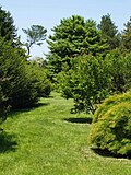 Thumbnail for version as of 16:13, 19 August 2007
