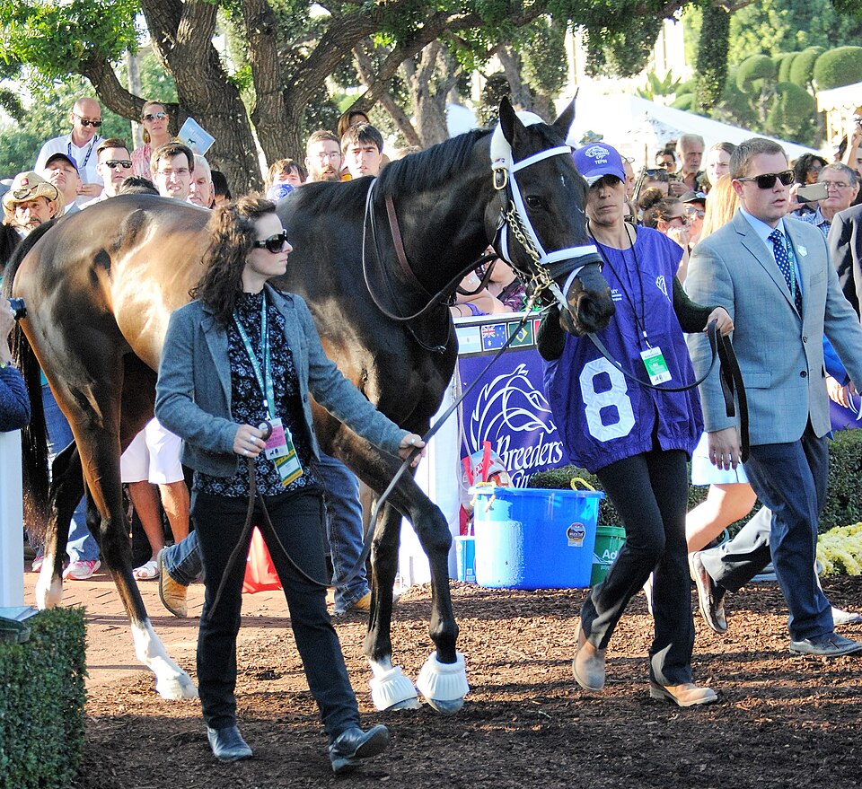 File:Tepin Breeders Cup 2016 - 1.jpg