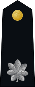 File:US Marine O5 shoulderboard dress.svg