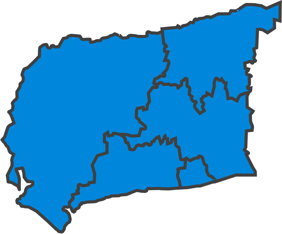 File:WestSussexParliamentaryConstituency1974Results.svg