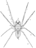 Thumbnail for version as of 19:06, 26 October 2008