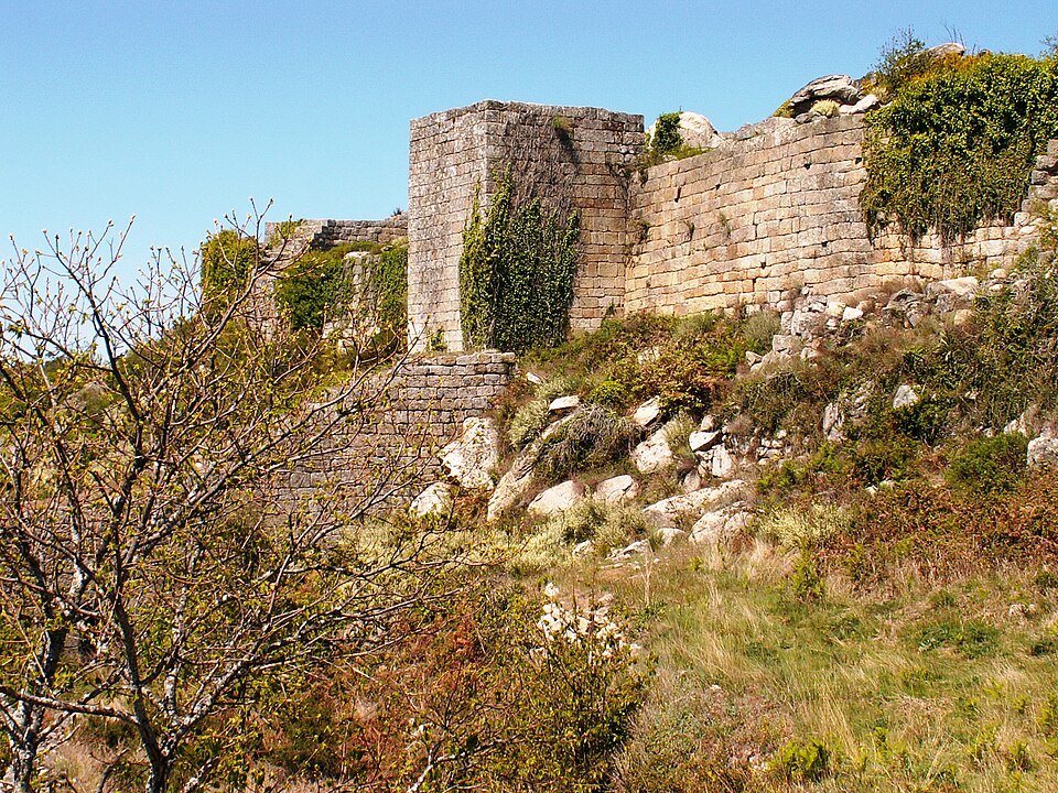 File:From grey to green (4959112389).jpg