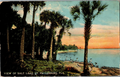 Thumbnail for version as of 03:28, 16 April 2026