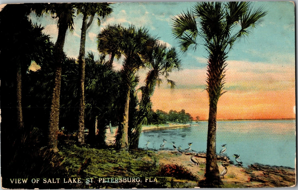 File:Salt lake postcard, 1914.webp