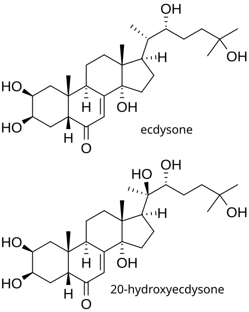 File:Ecdysteroids labeled.svg