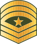 File:Maldives-Army-OR-9a.svg