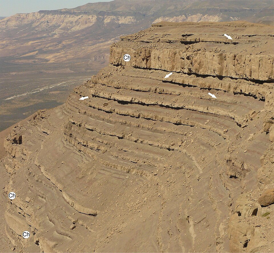 File:Santa Cruz Formation strata.jpg