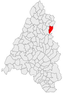 Location in Bihor County
