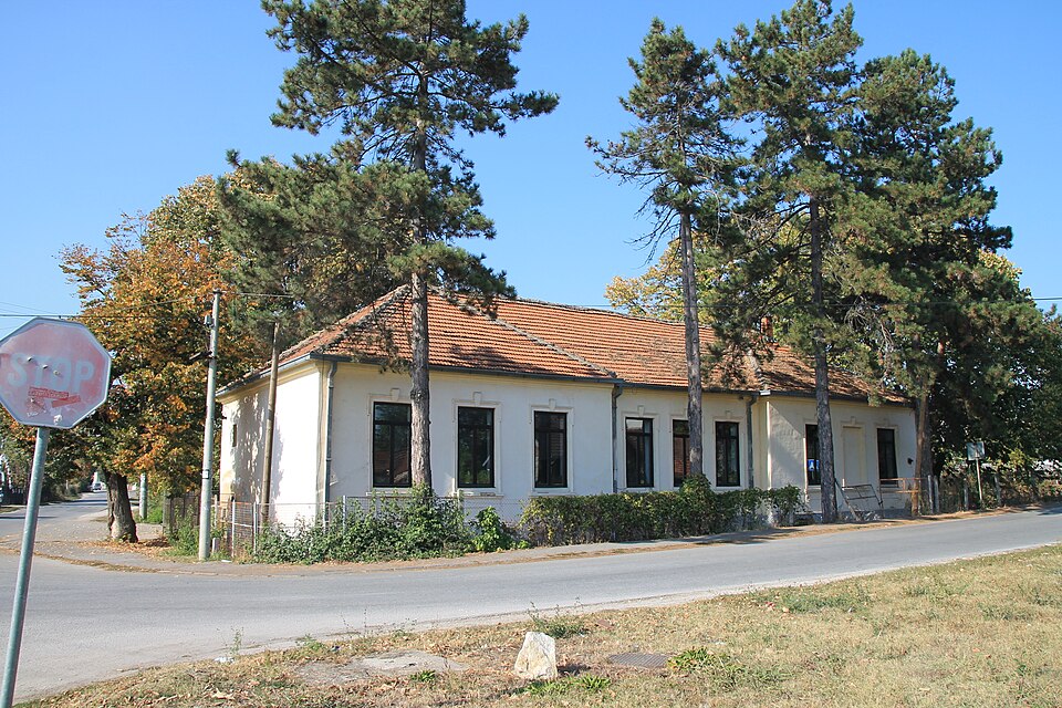 File:Wiki Šumadija XVI Vinorača 671.jpg