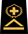 Sergent-chef(German: Oberwachtmeister)(Swiss Army)