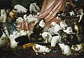 My Wife's Lovers (1891)