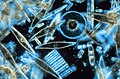 Image 87Diatoms (from Marine food web)