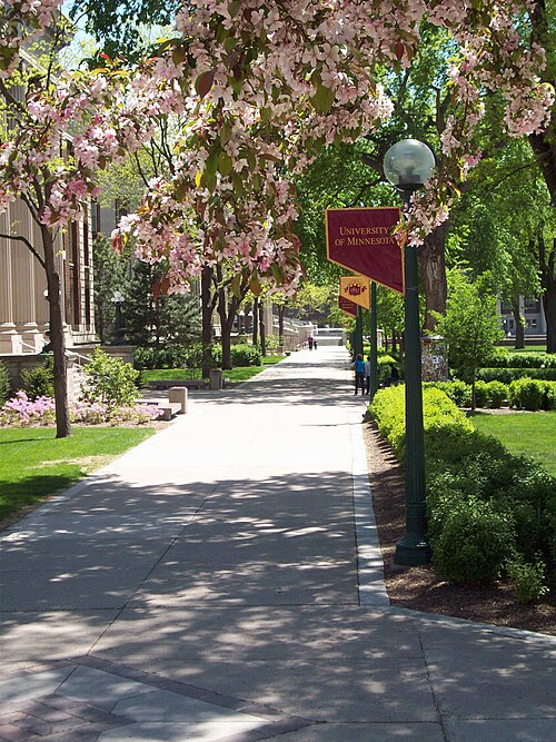File:Northrupmall.jpg