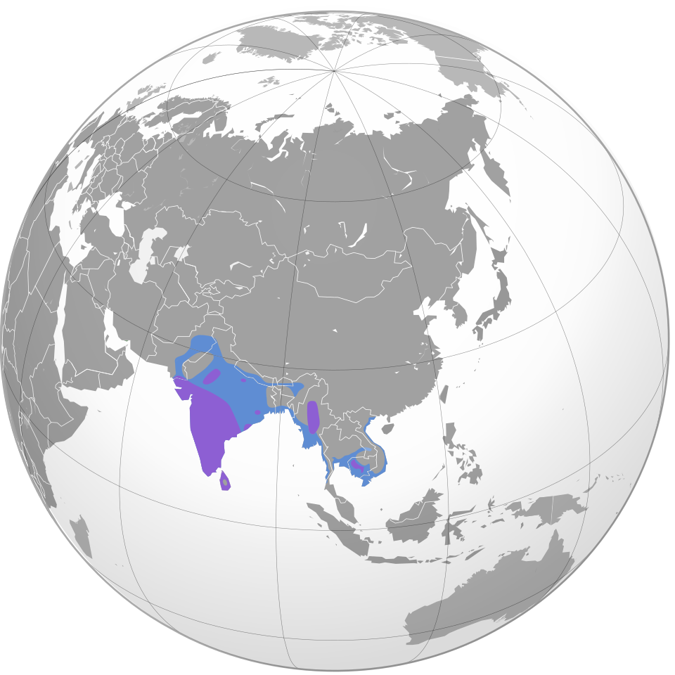 File:PaintedStorkMap.svg