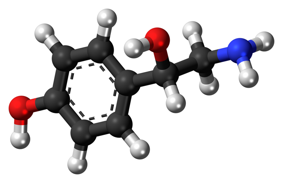 File:(S)-Octopamine molecule ball.png