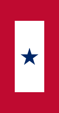 Blue Star Service Banner
