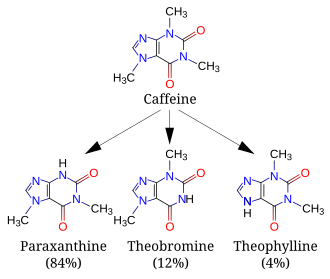 A diagram featuring 4 skeletal chemical formulas. Top (caffeine) relates to similar compounds paraxanthine, theobromine and theophylline.
