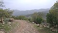 Image 13Iranian oak scrub in the Zagros Mountains (from Montane ecosystem)
