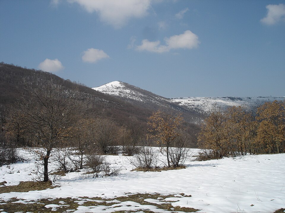File:Dautica-MK.JPG