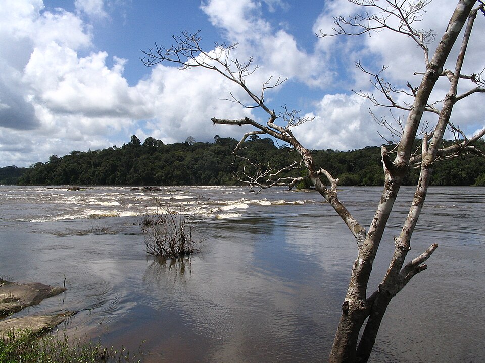 File:Oyapock maripa falls tree.jpg