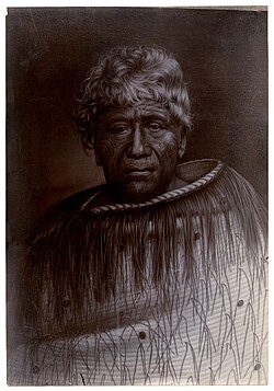 Whētoi Pōmare. Artist: Gottfried Lindauer.