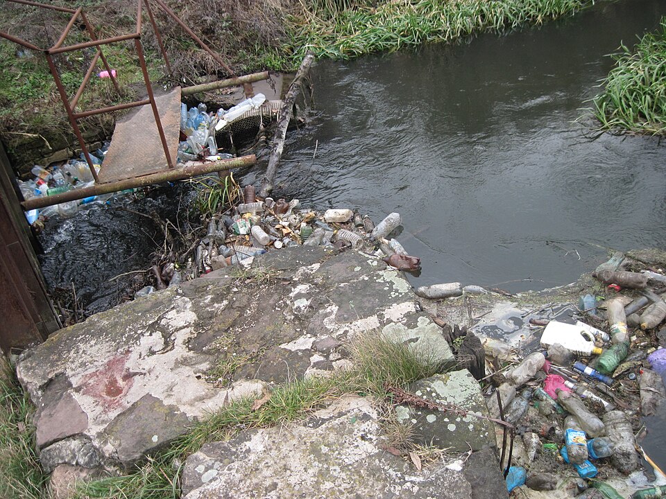 File:Сміття на Баштах, Стрипа, Бучач, 2014.JPG