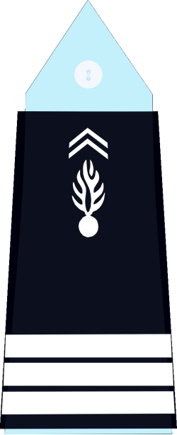 File:France (Gendarmerie) OF-2.svg