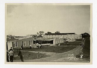 Buildings damaged by trees felled by the tornado