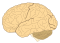 The thinking apparatus.