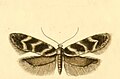 Thumbnail for version as of 18:19, 30 September 2013
