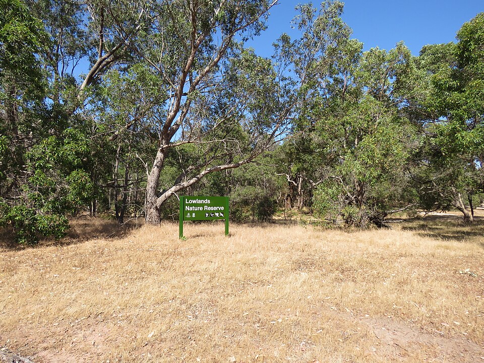 File:Lowlands Nature Reserve, November 2024 04.jpg
