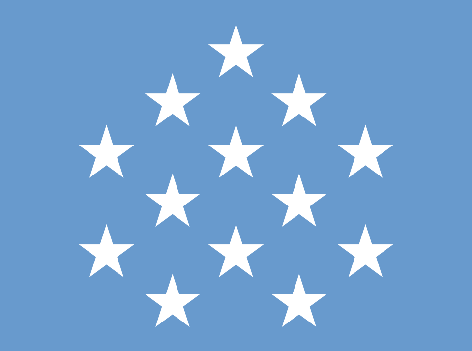 File:Medal of Honor Flag.svg