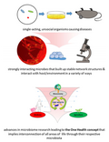 Thumbnail for version as of 09:38, 28 August 2020