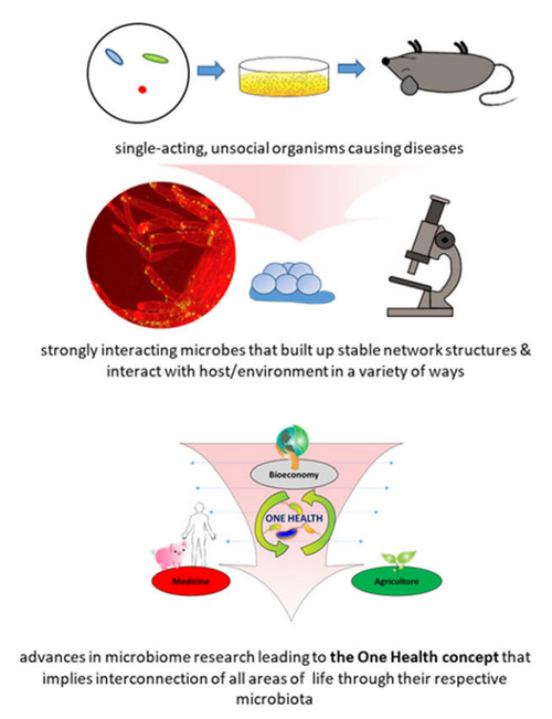 File:Microbiome paradigm shifts.png
