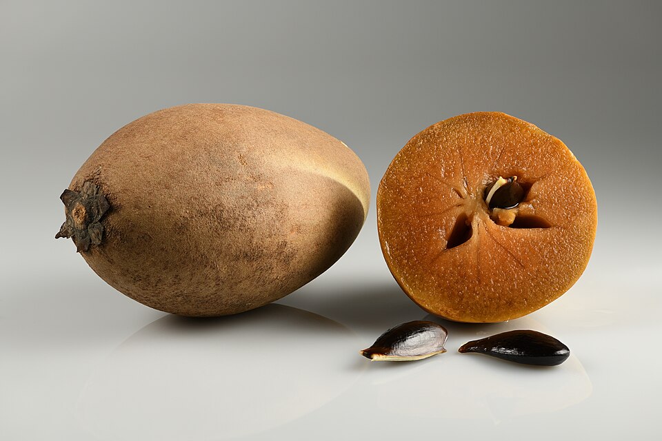 File:Sapodilla Malay with seeds.jpg