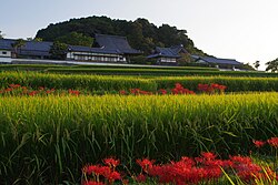 Tachibanadera Precinct