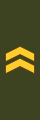 Swedish: Undersergeant(Finnish: Alikersantti)(Finnish Army)