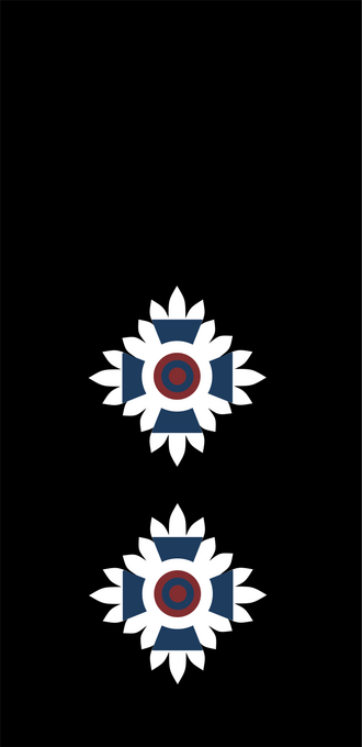 File:Deputy Controller.png