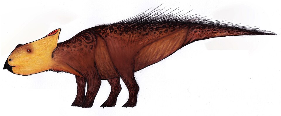 File:Ischioceratops flipped.jpg