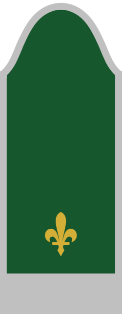 File:Lieutenant---Army-of-the-Republic-of-Bosnia-and-Herzegovina-1992.png