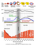 català