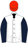 White, dark blue sleeves, scarlet cap