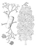 Thumbnail for version as of 17:53, 13 December 2014
