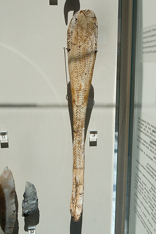 File:Spoon, Gravettian, Anthropos, Brno, 187965.jpg