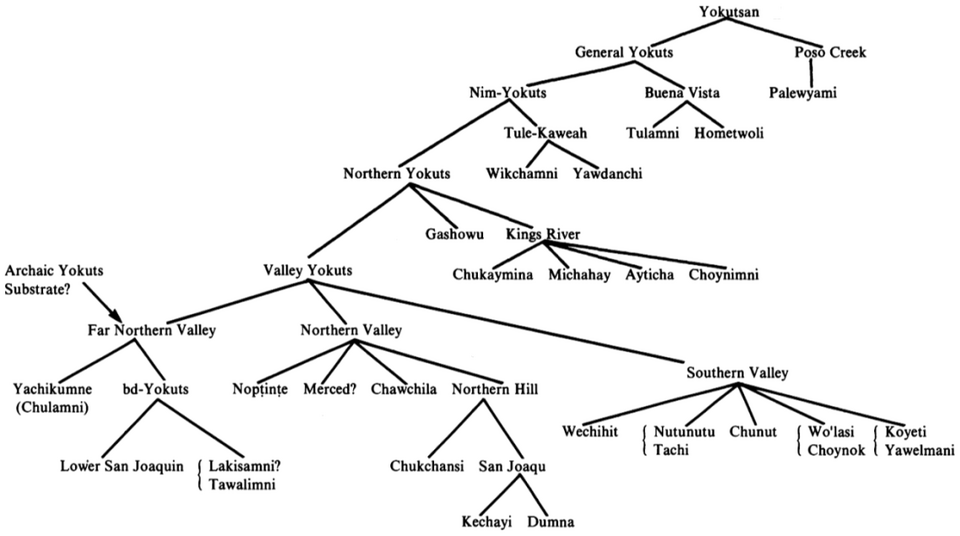 File:Yokutsan lang tree.png